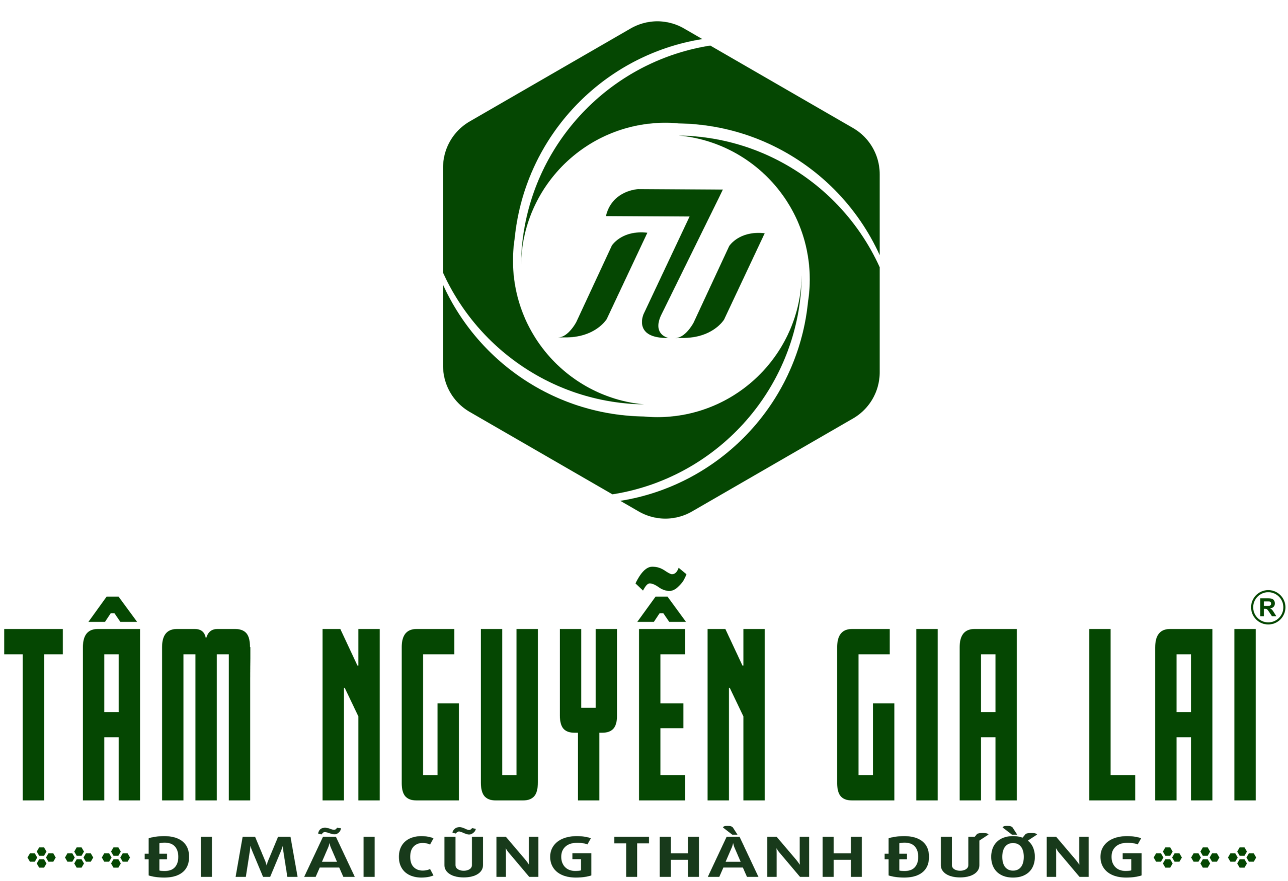 logo Tâm Nguyễn Gia Lai