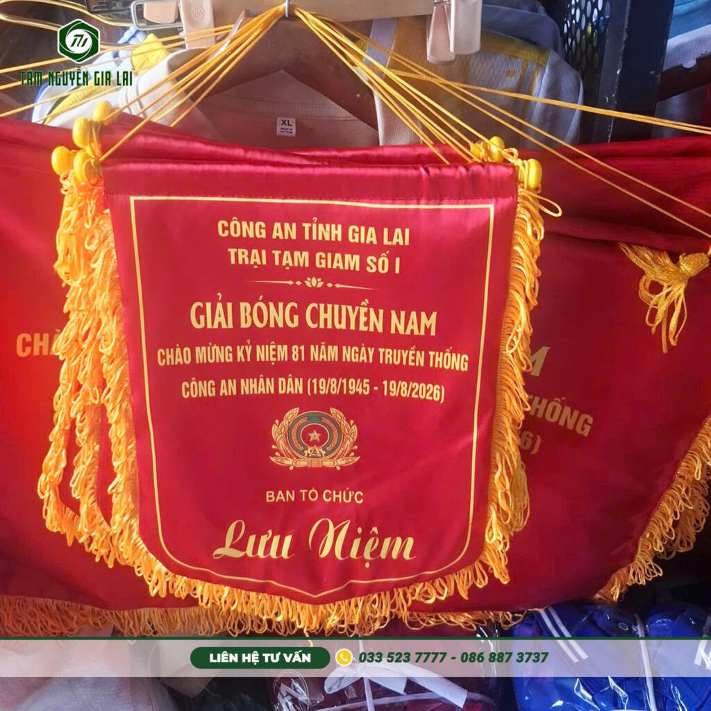 dat-co-luu-niem-giai-bong-da-gia-lai
