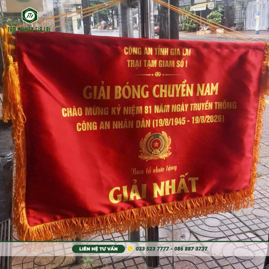 dat-co-luu-niem-giai-bong-da-gia-lai