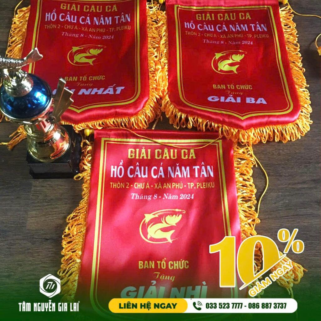 dat-co-luu-niem-giai-bong-da-gia-lai