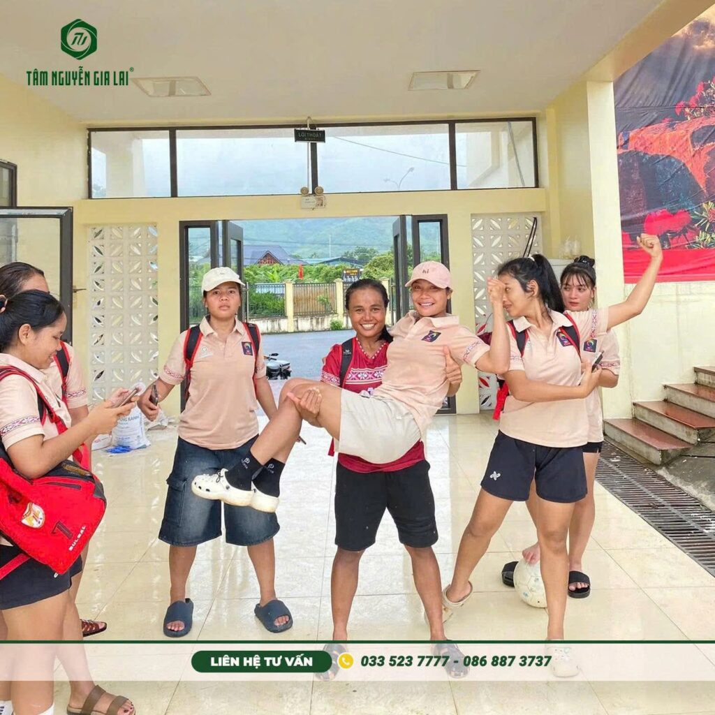 thiet-ke-bao-bong-da-theo-yeu-cau-gia-lai